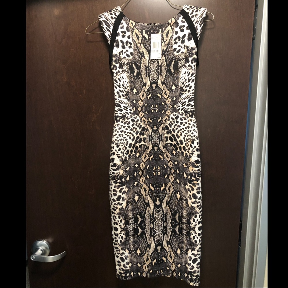 Buffalo David Bitton dress